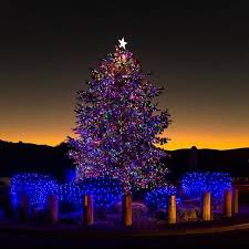 Benicia’s Annual Christmas Tree Lighting